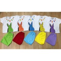 Set 5  cá sấu tay ngắn