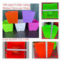 set 5 chậu vuông trơn 19x19cm loại 1 Bình Thuận Plastic,trồng cây cảnh, bonsai,cây để bàn, hoa thật hoa giả trang  trí