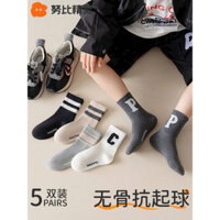 Set 5 đôi tất cao cổ bé trai quảng châu cổ chữ hàng chuẩn ảnh thật