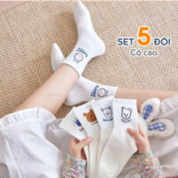 Sét 5 đôi tất cổ cao trắng họa tiết hình thú dễ thương set 5 đôi kèm túi xinh(mã 028)