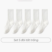 set 5 đôi tất nam cổ cao trắng,đen