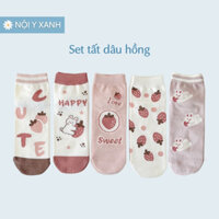 SET 5 Đôi Tất Vớ Cao Cổ Cotton Họa Tiết Dâu Hồng Siêu Đáng Yêu Cute cho bé gái NOI Y XANH