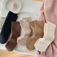 Set 5 Đôi Tất Vớ Cotton Lót Lông Nỉ Giữ Nhiệt Cao Cổ Siêu Ấm Màu Pastel Cho Nữ Tcc8