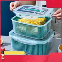 Set 5 Hộp Đựng Thực Phẩm Có Nắp Đậy Cao Cấp - Khay Nhựa Để Tủ Lạnh Kèm Rổ Ráo Nước Bảo Quản Thức Ăn An Toàn Tiện Lợi