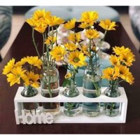 Set 5 lọ thuỷ tinh cắm hoa kèm kệ gỗ sang trọng