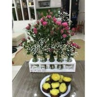 Set 5 lọ thủy tinh cắm hoa kèm kệ gỗ Home