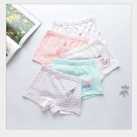 Set 5 quần chip bé gái đùi cao cấp 10-50 kg