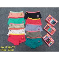 Set 5 quần chip đùi bé gái 4t đến 16t (13-40kg)