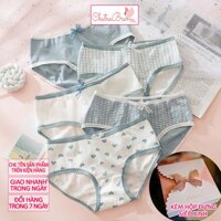 Set 5 quần lót nữ cotton mềm mại xanh trắng viền màu vải kháng khuẩn - M