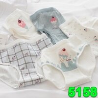 Set 5 quần ốc quế cherry