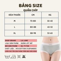 (SÉT 5 QUẦN) Quần Lót Lụa Ren Hông Cạp Cao Gen Bụng, Gợi cảm, Sexy, lót nano kháng khuẩn