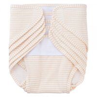 Set 5 tã vải sơ sinh Animo BA1022079 (NB,Vàng sọc)