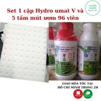 Set 5 tấm mút ươm hạt 96 viên + 1 cặp dung dịch thủy canh Hydro Umat V trồng rau ăn lá