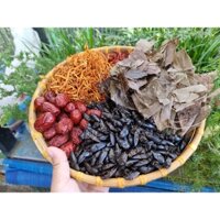 set 50 bổ củi sấy khô kèm vị thảo dược , tăng cường sinh lý nam