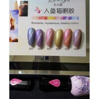 Set 6 lọ sơn gel mắt mèo