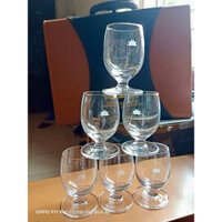 Set 6 ly uống rượu mạnh VNA