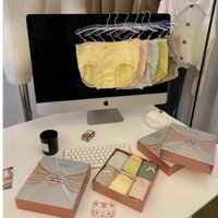 Set 6 Quần Lót Lụa Thoáng Khí Kháng Khuẩn Nâng Mông Cho Nữ