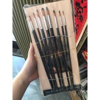 SET 9 CỌ VẼ ĐẦU NHỌN TORO GOLDEN BRUSH LÔNG MỀM CAO CẤP