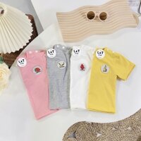 SET ÁO CỔ TÀU THẮT NƠ KÈM CHÍP