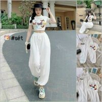 set áo croptop bướm