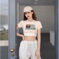 Set áo croptop + quần bo