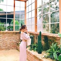 Set áo nhún bèo + quần ống suông