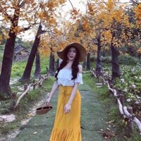 Sét áo ren váy voan dày bao.đẹp