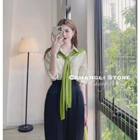 Set áo sơ mi sọc tay dài+ khăn choàng cổ