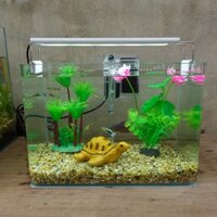 Set bể cá 30 cm uốn góc 7 món (bể, sỏi nền, lọc, cây nhựa (cây dừa, hoa sen), pk sứ nhỏ, chưa có đèn)