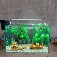Set bể cá 45 cm với 8 món (bể, sỏi nền, lọc, cây nhựa (bonsai 3 tán, rong), 2 pk sứ to, chưa có đèn led)