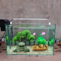 Set bể cá 45 cm với 8 món (bể, sỏi nền, lọc, cây nhựa (bonsai uốn cong, hoa sen), 2 pk sứ to, chưa có đèn led)