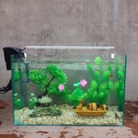 Set bể cá 50 cm với 9 món (bể, 2.5kg sỏi, lọc, cây nhựa (bonsai 3 tán, rong, hoa sen), 2 pk sứ to, chưa có đèn led)