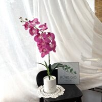 Set bình Lan Hồ Điệp (gồm cả chậu sứ TRẮNG VÂN MÂY + 1 cành hoa 9 bông to), hoa lan cao su cao cấp mã Sét 14
