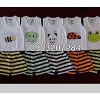 Set bộ 3 lỗ Quần đùi Cotton