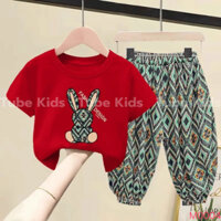 SET BỘ ÁO THUN QUẦN DÀI PHONG CÁCH HÀN QUỐC CHO BÉ TUBE KIDS