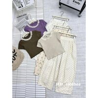 set bộ áo thun tăm lông thỏ cổ phối rem quần hoa nhí phối rem cao cấp