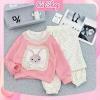 Set bộ bé gái CS585, Set áo nỉ dài tay hồng thỏ cổ ren quần dài chấm bi