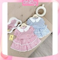 Set bộ bé gái QT113, Set áo kẻ nơ cổ sen phối chân váy 2 tầng cho bé gái