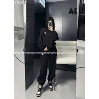 Set bộ đồ nỉ quần dài thêu ngựa cực hot