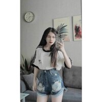 Set bộ đồ nữ áo Cotton khô + quần đùi jean rách sml