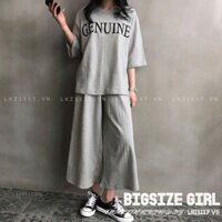 Set bộ đồ nữ đi chơi Bigsize  Áo thun tay ngắn kèm Quần ống rộng suông Mùa Hè Phong cách Thời Trang Hàn Quốc đẹp