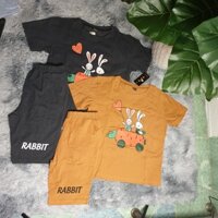 Set Bộ Đồ Nữ Lửng In Hình Thỏ (Mẫu Mới Siêu Hot)
