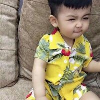 Sét bộ hình vịt con của bé trai từ 5-15kg.vãi Carter coton co giãn 2chiều thắm hút mồ hôi thích hợp cho mùa hè nóng nực.