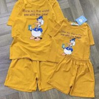 Set bộ Mẹ con vịt DONAL