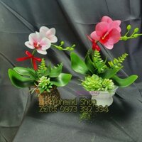 Set bộ nguyên liệu làm hoa Lan Hồ Điệp bằng vải voan