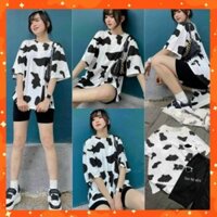 Set Bộ Nữ Mùa Hè Áo Phông Bò Sữa Kèm Quần Legging Siêu XInh