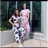 Set bò sữa - áo croptop mix quần dài bo gấu