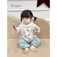 Set bộ thu đông bé gái cổ bánh bèo dáng bo gấu quần áo, chất cotton mềm mịn, bé mặc đi học đi chơi Miniumbaby SB2192