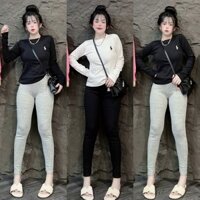 Set Bộ Thun Dài Trơn Ngựa Mix quần Legging ôm, Bộ đồ thun nữ phong cách thể thao outfit năng động xu hướng
