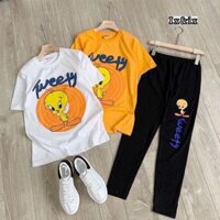 SÉT BỘ VỊT SIẺU HÓT